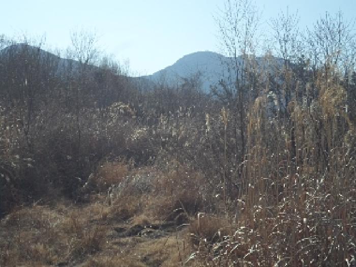 경남 밀양시 초동면 대지 경매 물건 사진 4 · 2025타경10233