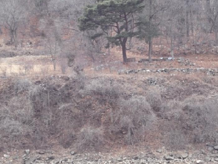 경남 창녕군 창녕읍 전 경매 물건 사진