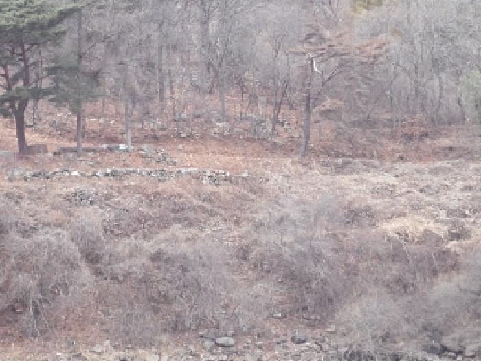 경남 창녕군 창녕읍 전 경매 물건 사진 2 · 2025타경10244