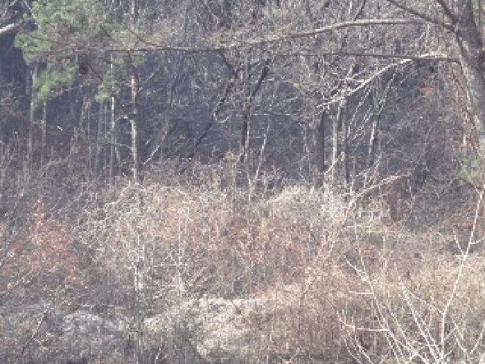 경남 창녕군 고암면 답 경매 물건 사진 6 · 2025타경10246