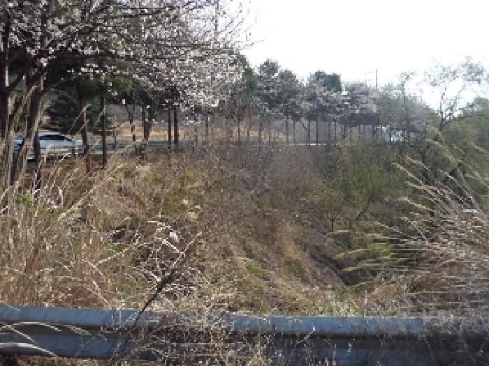 경남 밀양시 초동면 전 경매 물건 사진