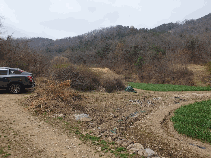 경상남도 창녕군 남지읍 아지리 297 전 경매 물건 사진