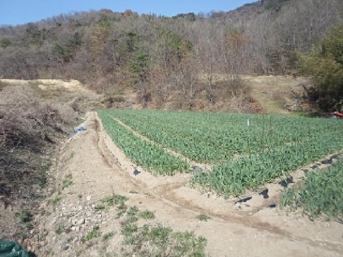 경남 창녕군 남지읍 전 경매 물건 사진 4 · 2025타경10273