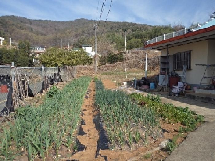 경남 창녕군 영산면 연립주택 경매 물건 사진 6 · 2025타경10274