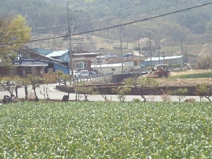 경남 창녕군 부곡면 답 경매 물건 사진 4 · 2025타경10281