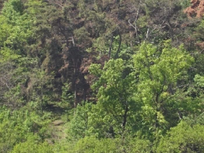 경남 창녕군 대합면 전 경매 물건 사진 4 · 2025타경10322