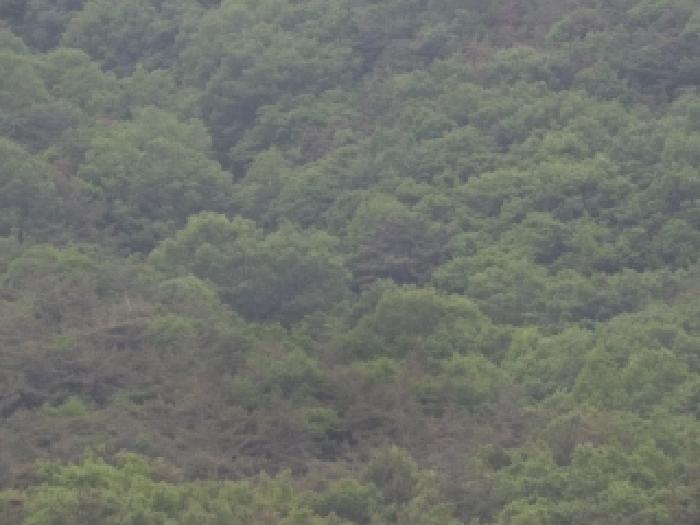 경남 밀양시 삼랑진읍 임야 경매 물건 사진 3 · 2025타경10324