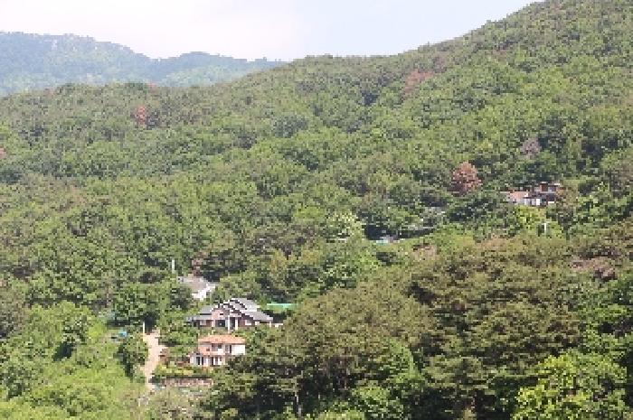 경남 밀양시 삼랑진읍 임야 경매 물건 사진