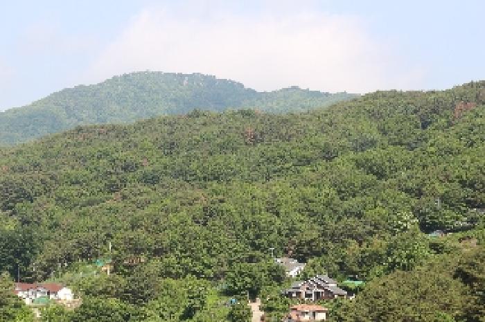 경남 밀양시 삼랑진읍 임야 경매 물건 사진 4 · 2025타경10339