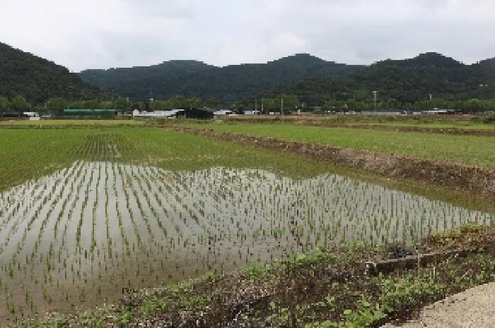 경남 밀양시 내이동 대지 경매 물건 사진 5 · 2025타경10364