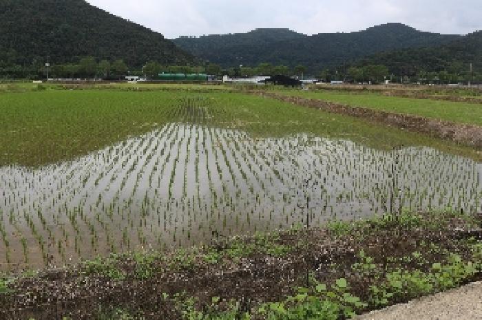 경남 밀양시 내이동 대지 경매 물건 사진 6 · 2025타경10364