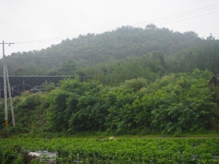 경남 창녕군 대합면 전 경매 물건 사진 4 · 2025타경10402