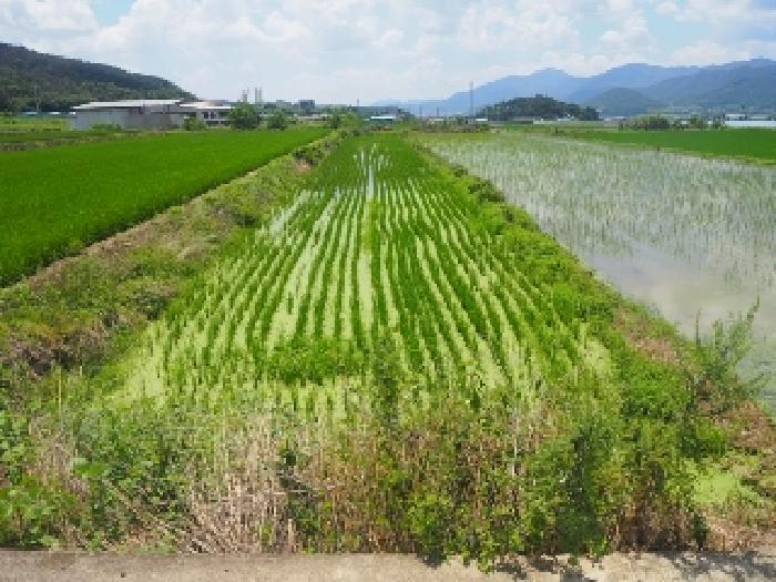 경남 밀양시 부북면 답 경매 물건 사진 2 · 2025타경10416