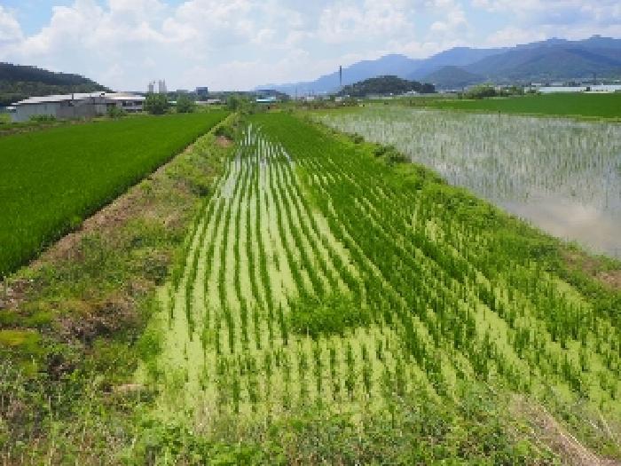 경남 밀양시 부북면 답 경매 물건 사진 4 · 2025타경10416