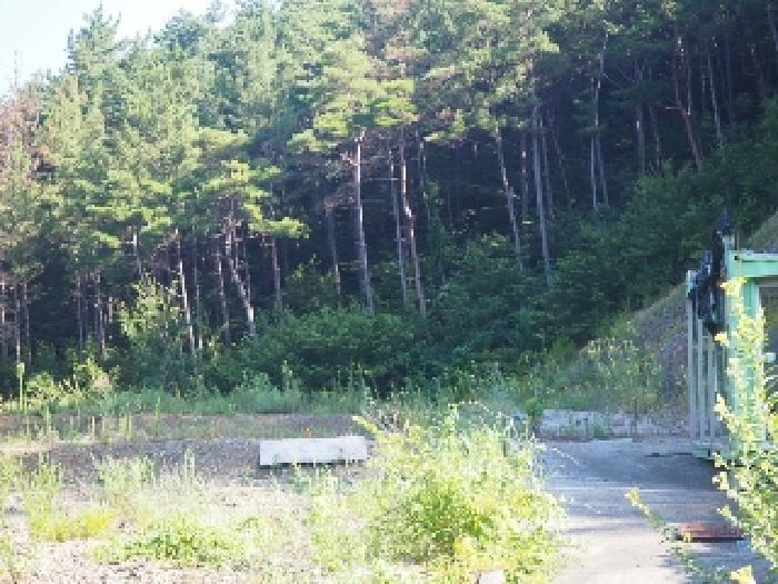 경남 창녕군 부곡면 임야 경매 물건 사진 3 · 2025타경10420