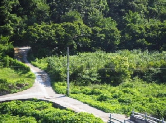 경남 밀양시 단장면 답 경매 물건 사진