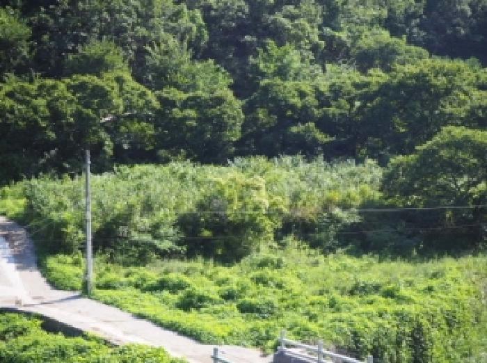 경남 밀양시 단장면 답 경매 물건 사진 2 · 2025타경10428