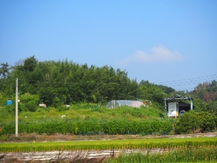 경남 창녕군 대지면 전 경매 물건 사진