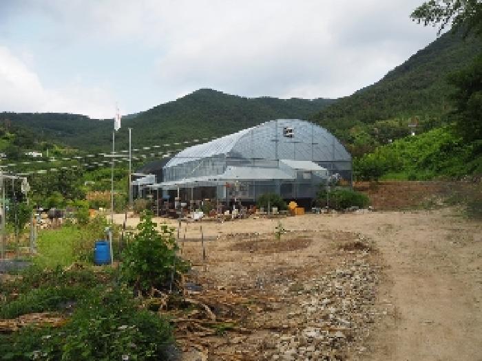 경남 밀양시 삼랑진읍 답 경매 물건 사진
