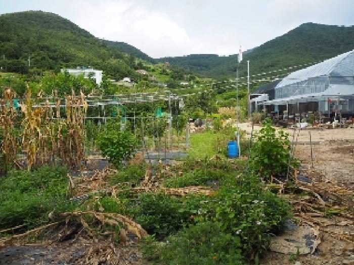 경남 밀양시 삼랑진읍 답 경매 물건 사진 2 · 2025타경10453