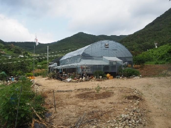 경남 밀양시 삼랑진읍 답 경매 물건 사진 5 · 2025타경10453