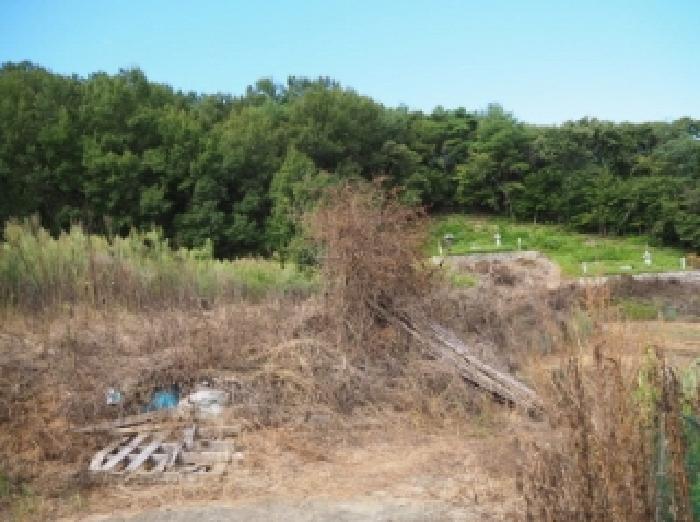 경남 밀양시 부북면 답 경매 물건 사진