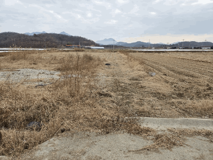 경상남도 창녕군 장마면 장가리 1382-1 답 경매 물건 사진