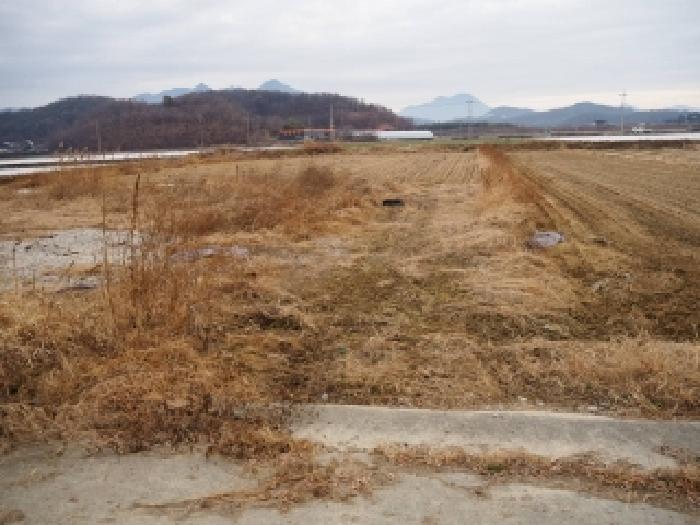 경남 창녕군 장마면 답 경매 물건 사진