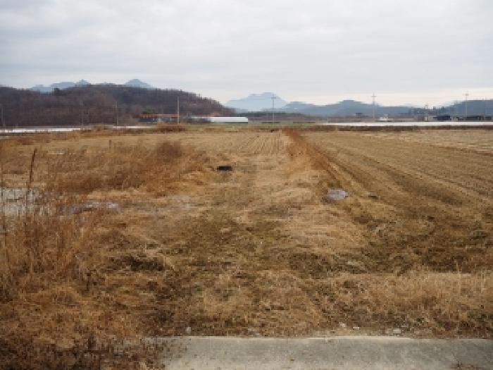 경남 창녕군 장마면 답 경매 물건 사진 2 · 2025타경10492