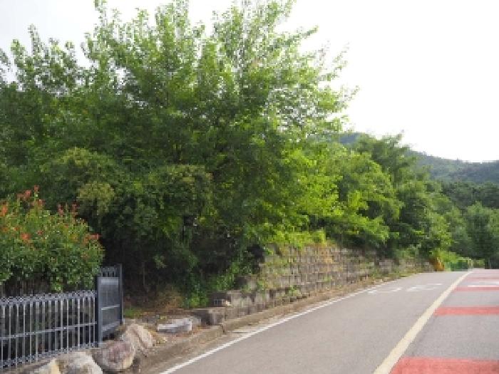 경남 창녕군 영산면 전 경매 물건 사진