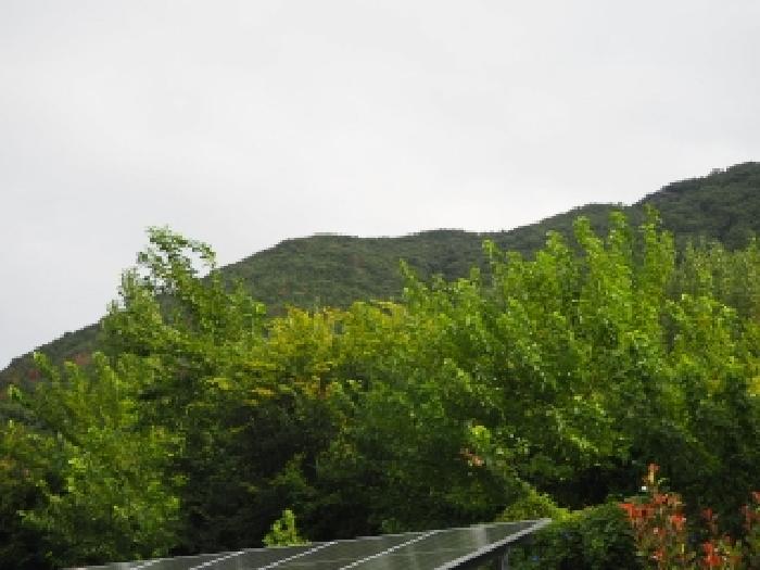 경남 창녕군 영산면 전 경매 물건 사진 4 · 2025타경10495