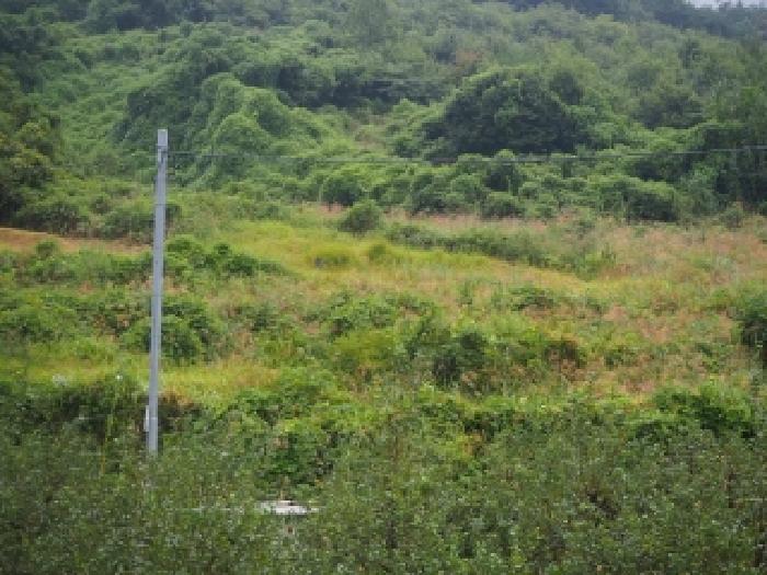 경남 밀양시 산내면 답 경매 물건 사진 3 · 2025타경10502