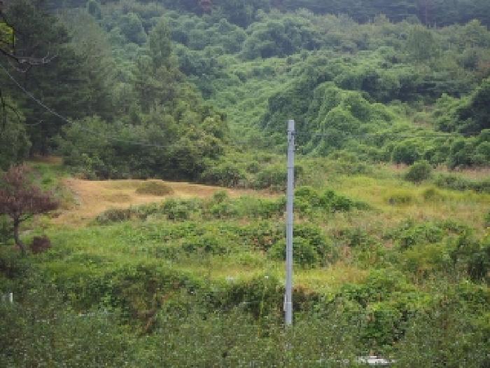 경남 밀양시 산내면 답 경매 물건 사진