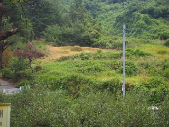 경남 밀양시 산내면 답 경매 물건 사진 2 · 2025타경10502