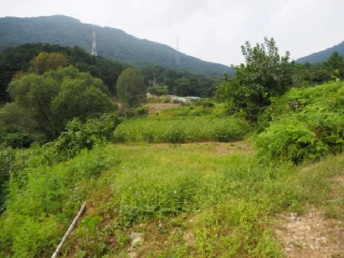 경남 창녕군 성산면 답 경매 물건 사진 6 · 2025타경10513