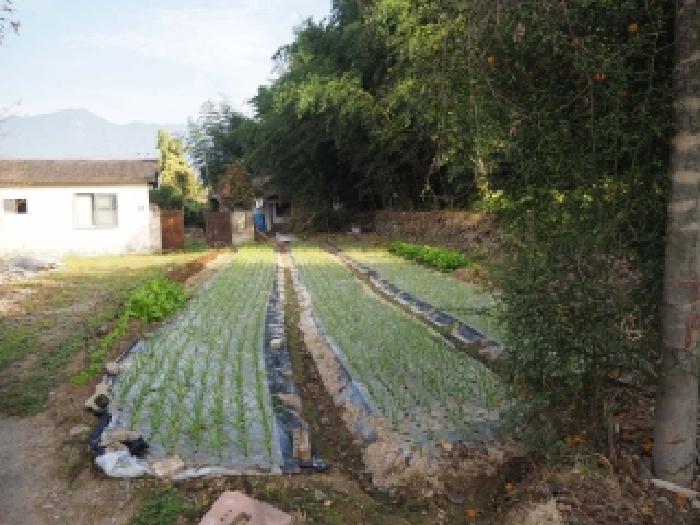 경남 창녕군 부곡면 대지 경매 물건 사진