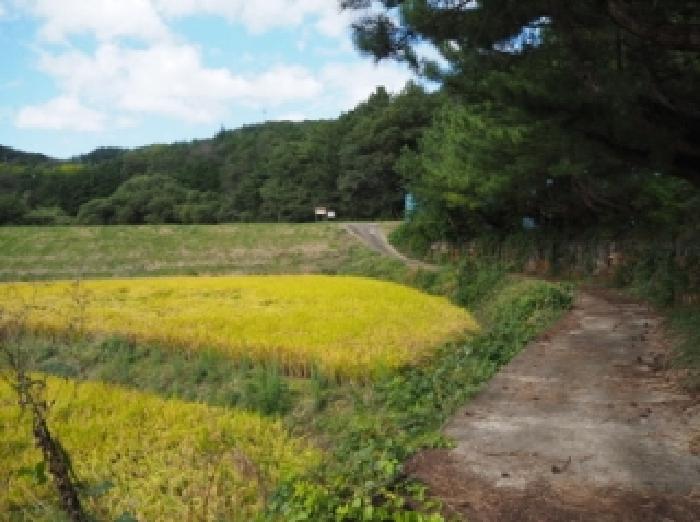 경남 창녕군 부곡면 답 경매 물건 사진