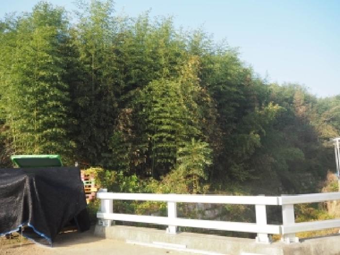 경남 밀양시 상남면 전답 경매 물건 사진 4 · 2025타경10538