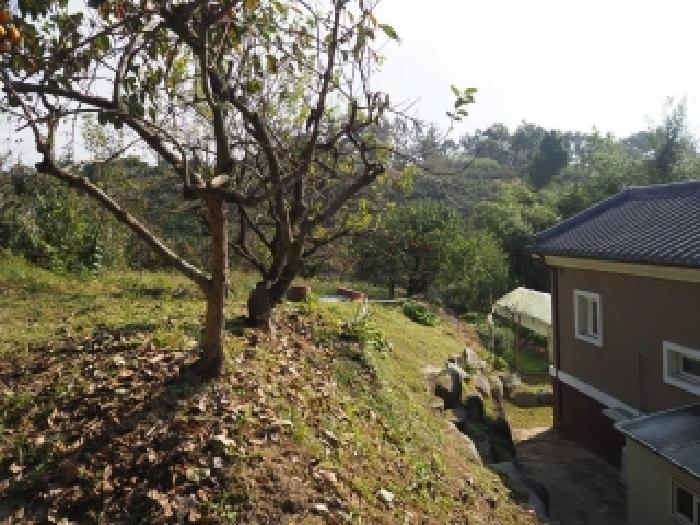 경남 창녕군 이방면 대지 경매 물건 사진 2 · 2025타경10540