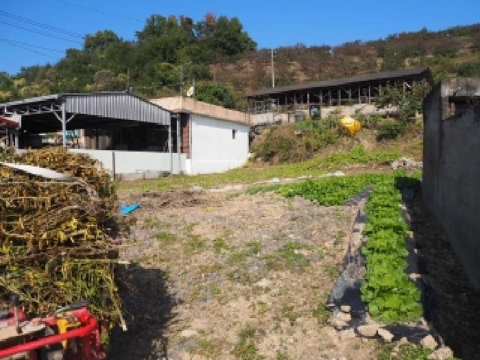경남 창녕군 이방면 대지 경매 물건 사진 6 · 2025타경10540