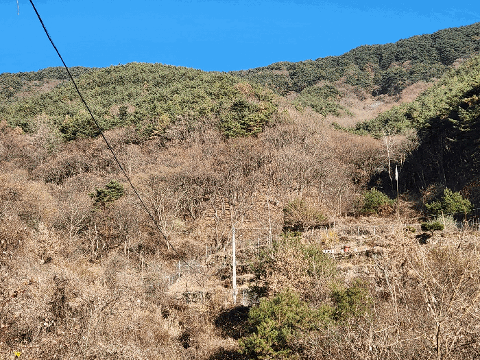 경남 밀양시 상동면 임야 경매 물건 사진 6 · 2025타경10549