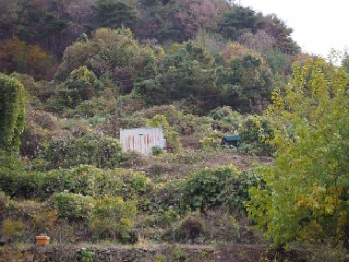 경남 밀양시 청도면 답 경매 물건 사진 4 · 2025타경10554