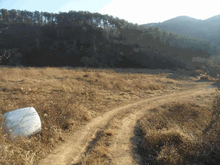 경남 밀양시 무안면 답 경매 물건 사진 6 · 2025타경10560