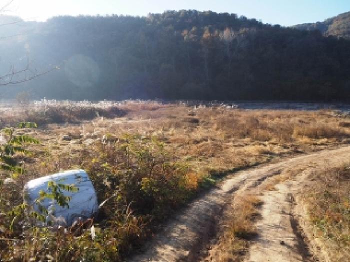 경남 밀양시 무안면 답 경매 물건 사진 4 · 2025타경10560