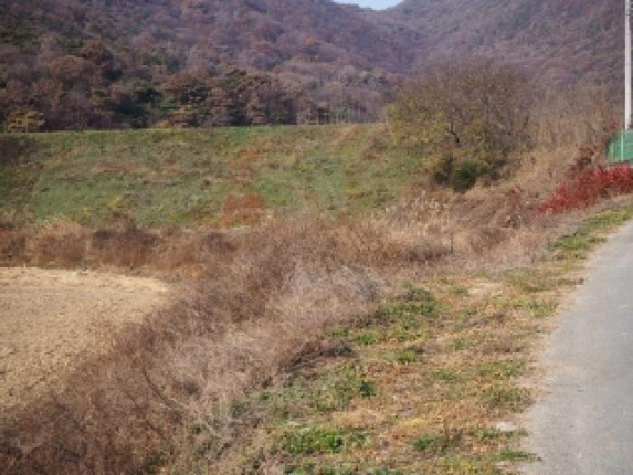경남 밀양시 초동면 답 경매 물건 사진 2 · 2025타경10569