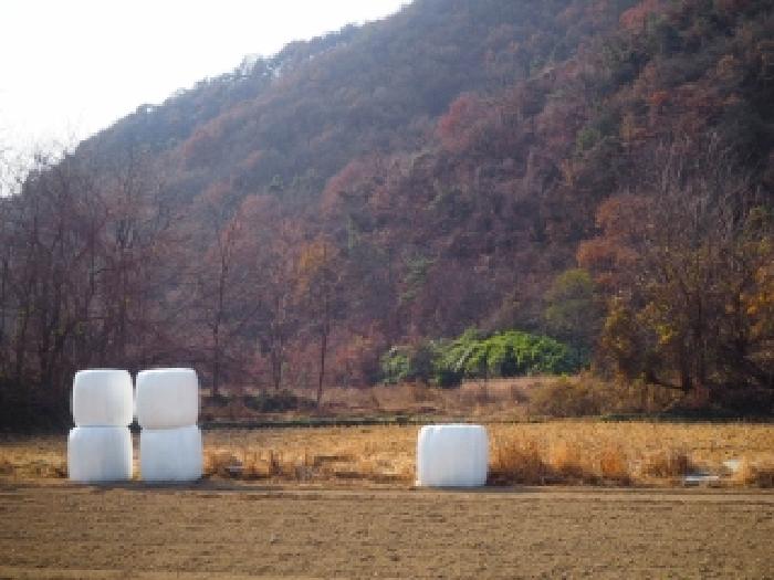 경남 밀양시 초동면 전답 경매 물건 사진