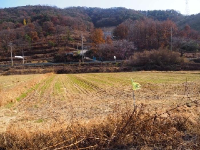 경남 밀양시 초동면 답 경매 물건 사진
