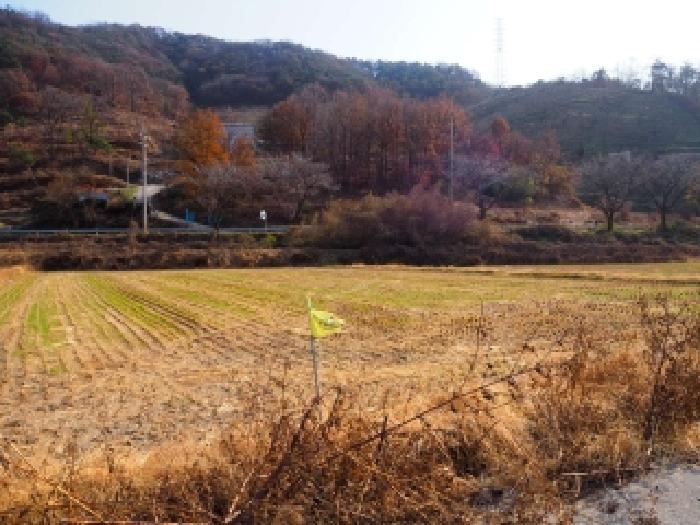 경남 밀양시 초동면 답 경매 물건 사진 2 · 2025타경10573