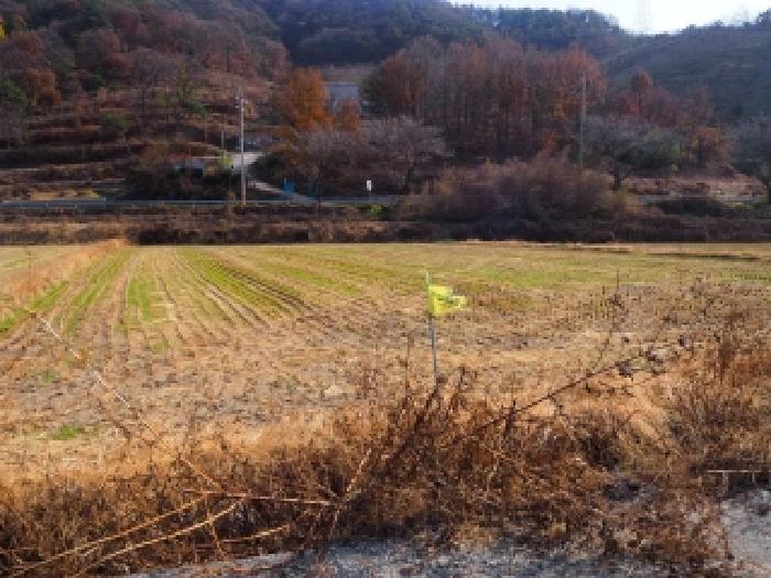 경남 밀양시 초동면 답 경매 물건 사진 3 · 2025타경10573