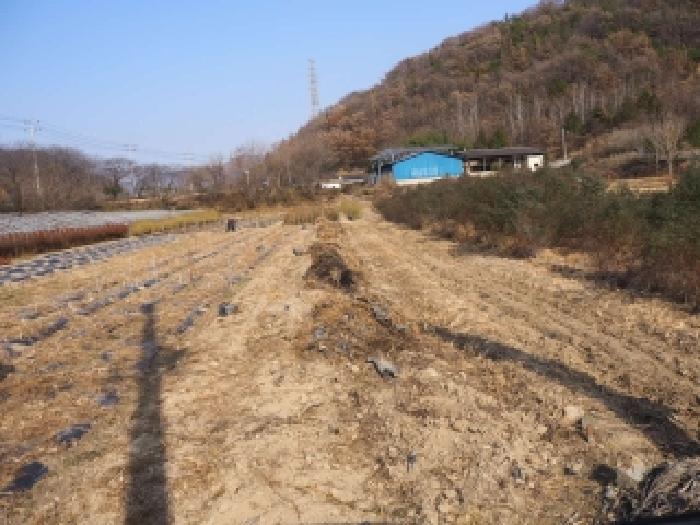 경남 밀양시 초동면 답 경매 물건 사진 4 · 2025타경10573